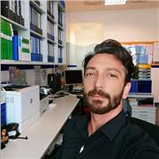 Ich biete Türkisch an auf Muttersprachenniveau